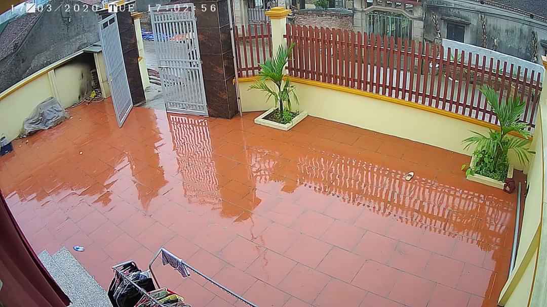 24 Mắt Âm Thanh Có Màu Ban Đêm